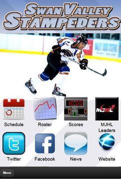 Swan Valley Stampeders Hockey游戲截圖1