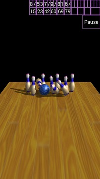10 Pin Bowling游戏截图4
