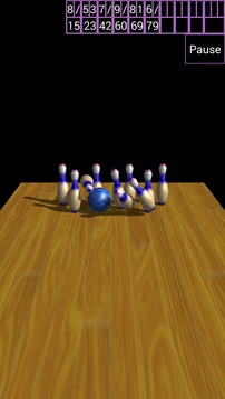 10 Pin Bowling游戲截圖4