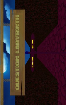 Question Labyrinth游戲截圖2