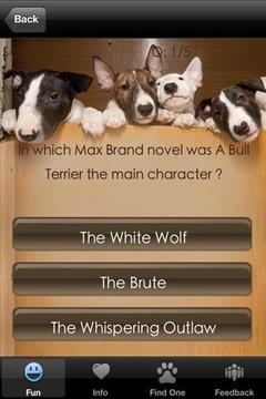 Bull Terrier+ Free游戲截圖4