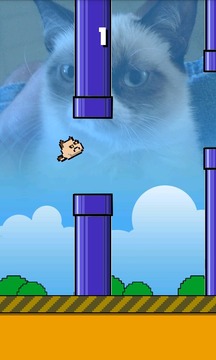 Flappy Grumpy Cat游戲截圖4