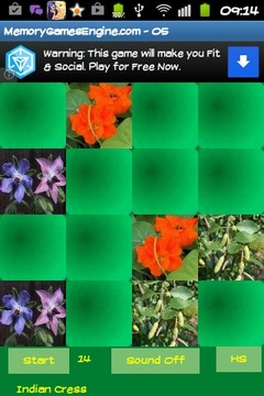 Memory game - Medicinal plants游戲截圖1