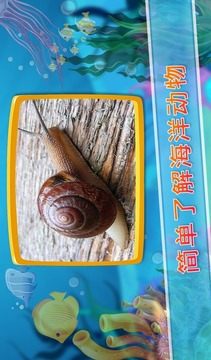 真正的海洋動物聲音V1.0.0游戲截圖4