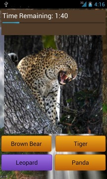 Animal Guess游戲截圖2