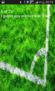 La Copa Mundial游戲截圖1