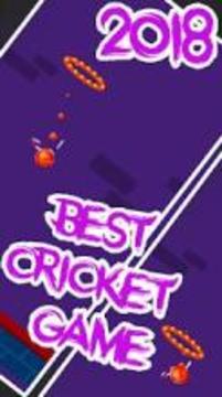 Cricket dunk genuine dunk criket 2018游戲截圖3