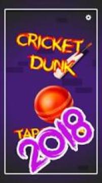 Cricket dunk genuine dunk criket 2018游戲截圖4