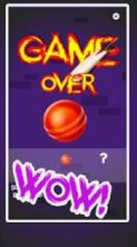 Cricket dunk genuine dunk criket 2018游戲截圖1