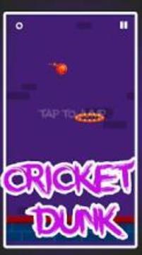 Cricket dunk genuine dunk criket 2018游戲截圖2