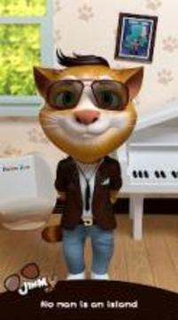 My Talking Jimmy Cat游戲截圖4
