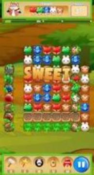 Pet Matching游戲截圖3