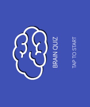 Brain Quiz游戲截圖1