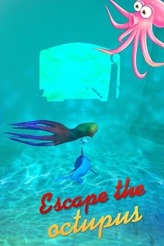 Dolphin Run游戲截圖4