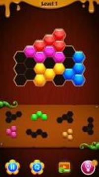 Hexa Color Block Puzzle游戲截圖1