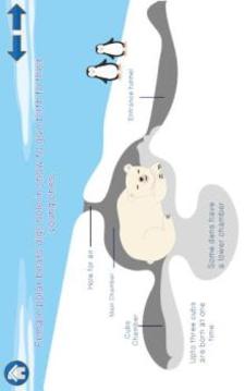 Arctic Adventure - SABAQ Gamebook游戲截圖1