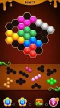 Hexa Color Block Puzzle游戲截圖4