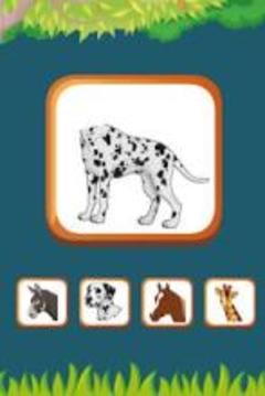 Vegetables, Fruits, Animals, Birds name learning游戲截圖3
