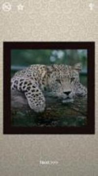 Mix Puzzles - 100 Pictures游戲截圖4
