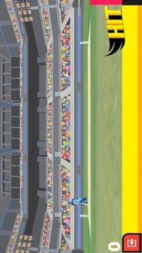Cricket Arcade - Runs Scoring Game游戲截圖5
