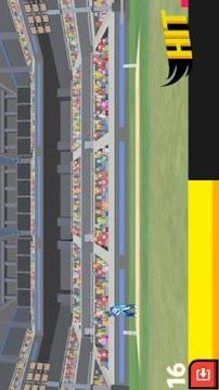Cricket Arcade - Runs Scoring Game游戲截圖3