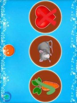 Colors Learning Game Toddlers游戲截圖4