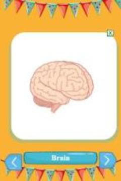 Human body name A-Z游戲截圖2