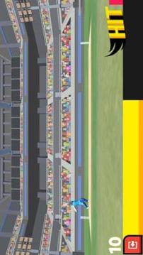 Cricket Arcade - Runs Scoring Game游戲截圖4