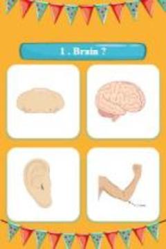 Human body name A-Z游戲截圖5