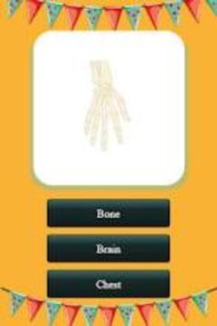 Human body name A-Z游戲截圖4