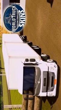 Skins World Truck Driving Simulator游戲截圖1