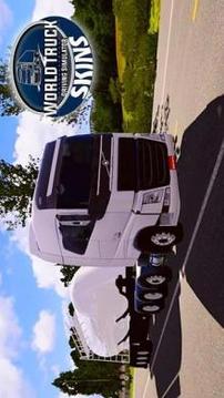 Skins World Truck Driving Simulator游戲截圖4