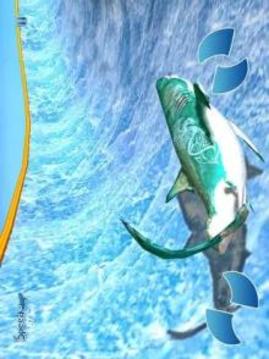 Shark Slide Racing 2018游戲截圖1
