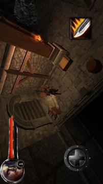 Crypt Of The Demon (Early access BETA)游戏截图4
