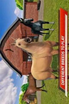 My Horse Show: Race & Jumping Challenge游戲截圖1
