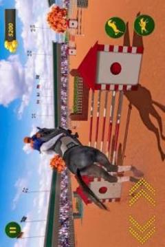 My Horse Show: Race & Jumping Challenge游戲截圖3
