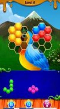 Bird Hexagon Puzzle游戲截圖1