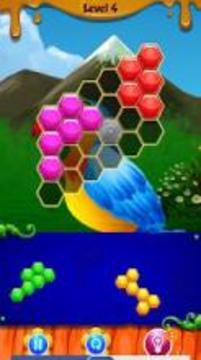 Bird Hexagon Puzzle游戲截圖2