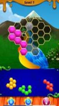 Bird Hexagon Puzzle游戲截圖5
