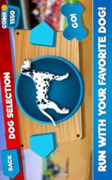Dog Race Simulator 2018游戲截圖1