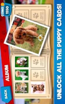 Dog Race Simulator 2018游戲截圖2