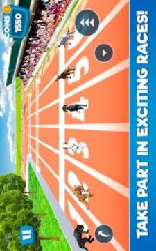 Dog Race Simulator 2018游戲截圖3