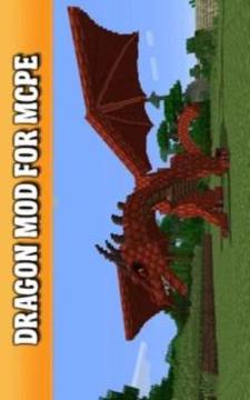 Dragon Mod MCPE游戲截圖2