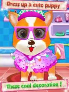 Puppy Salon - Pet Daycare游戲截圖4