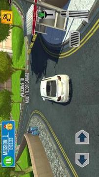 Multi Floor Garage Driver!游戲截圖1