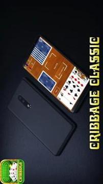 Cribbage Classic - Funny Card Game 2018游戲截圖3