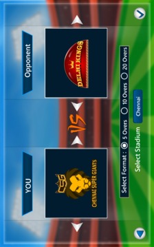 Indian Cricket Premium League游戲截圖4