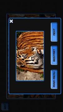 Tile Puzzle - Tile Puzzle game游戲截圖3