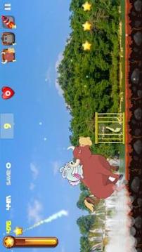 Crazy Rabbit Run Fun游戲截圖4