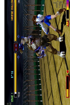 Pro Bloody Roar 4 Special Game Hint游戲截圖1